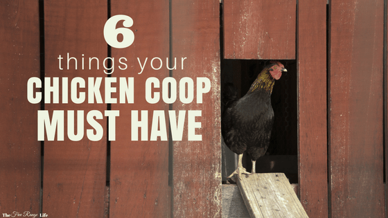 How to make chicken coop run Fox in the Chicken Coop
