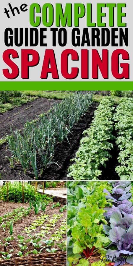 the complete guide to garden spacing