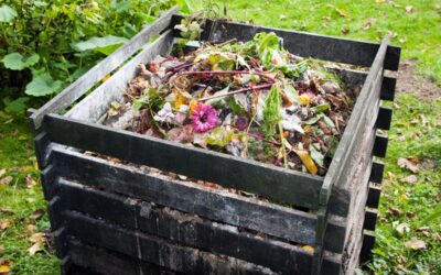 12 Things You Should NEVER Add to Compost