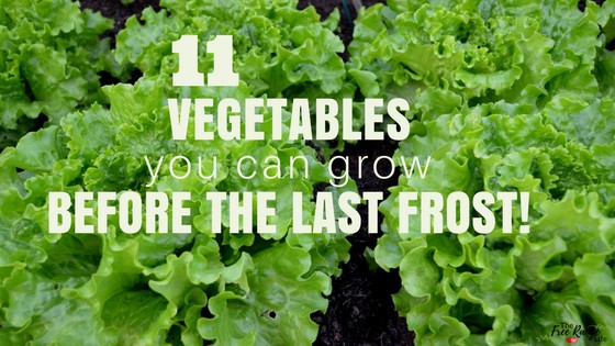 11 Vegetables You Can Plant BEFORE the Last Frost