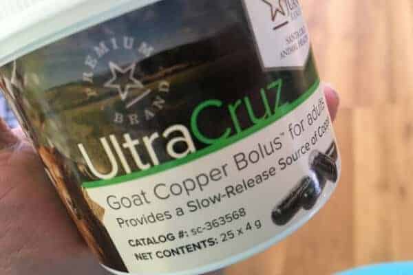 container of ultra cruz copper bolus supplement for goats