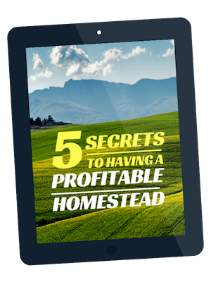 32 Ways To Earn Money From Home With Your Homestead - 5 secrets to having a profitable homestead tips and training when you join our newsletter