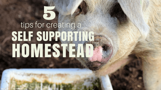 5 Tips for Creating a Self-Supporting Homestead
