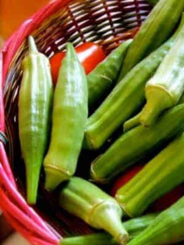 How to Grow Okra From Seed to Harvest Story The Free Range Life®
