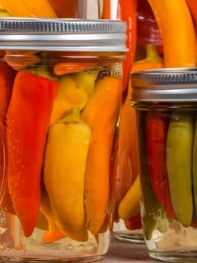 Preserving Peppers 9 Ways to Preserve Peppers At Home Story The Free