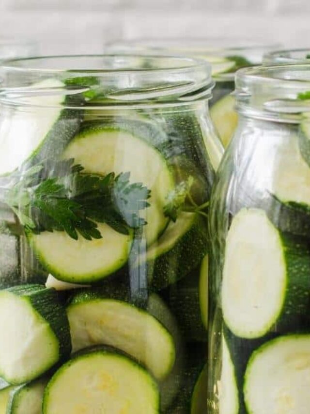 6 Ways to Preserve Summer Squash Story The Free Range Life®