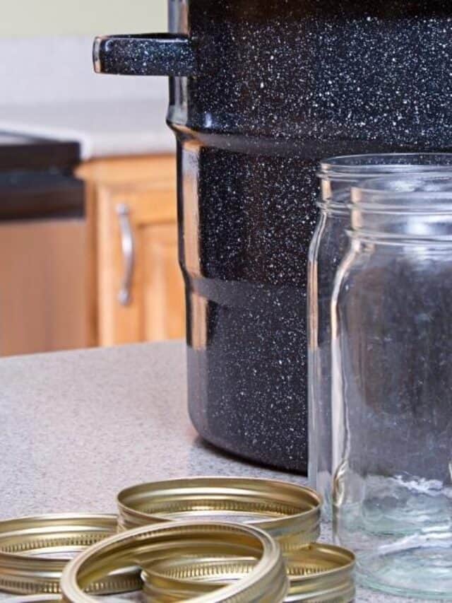 21 Foods You Can Preserve in a Water Bath Canner Story The Free Range Life®