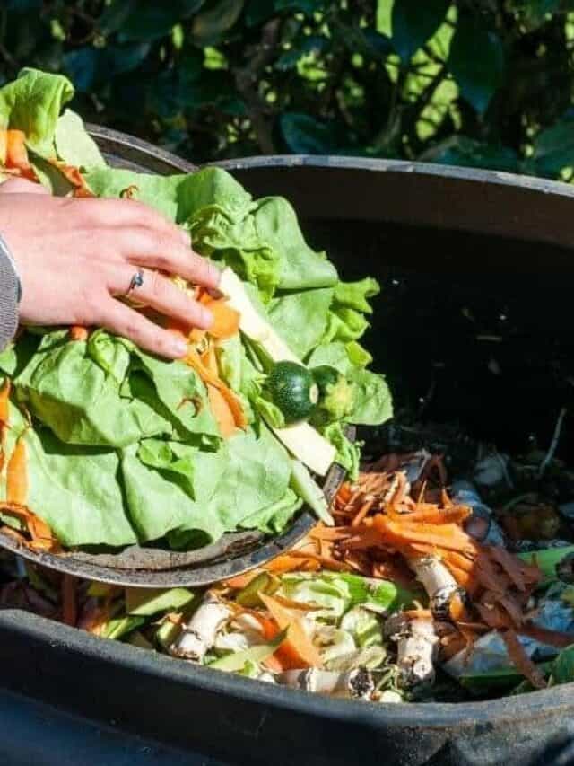 8 Simple Ways to Improve Your Garden Soil for Free Story