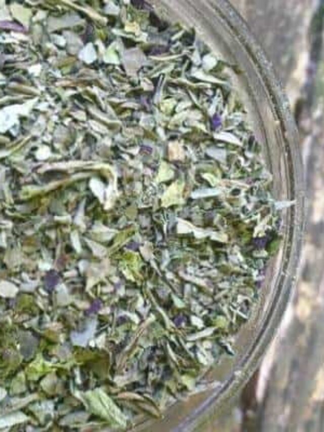 2 Easy Methods for Drying Basil Story The Free Range Life®