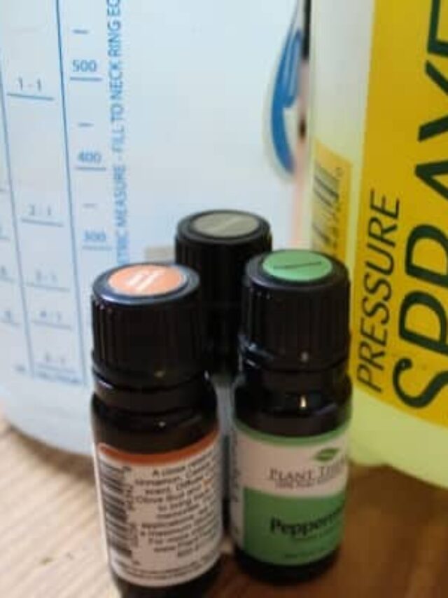 The Best Essential Oils for Gardening (+ Recipes) Story The Free