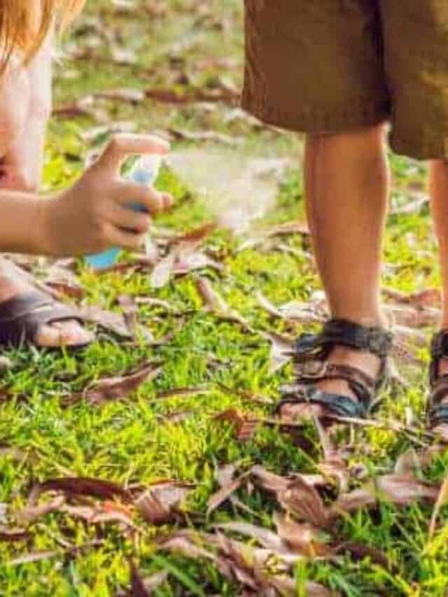 11 Essential Oils That Repel Bugs, Insects, and Pests Naturally Story