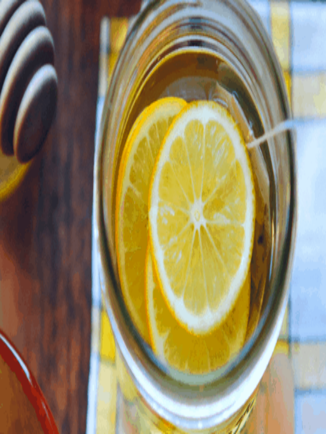 11 Flavored Kombucha Recipes Your Body will Thank You For Story