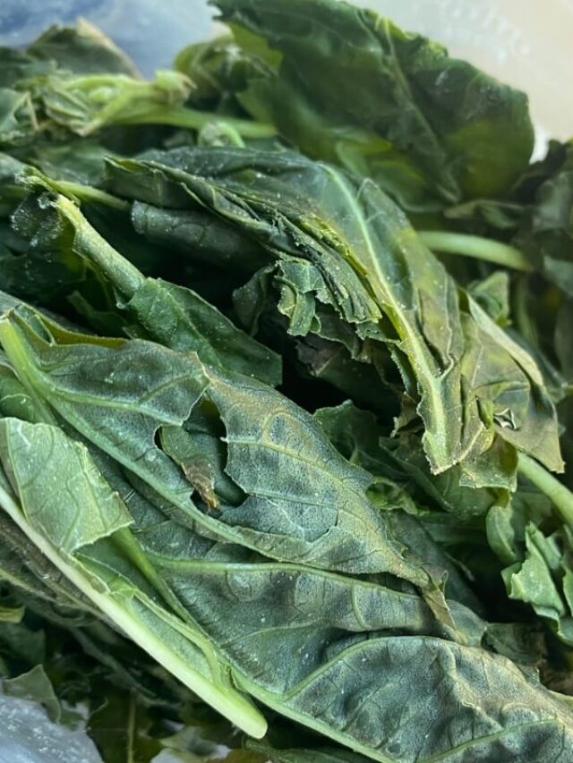 How to Freeze Basil for Year Round Use Story