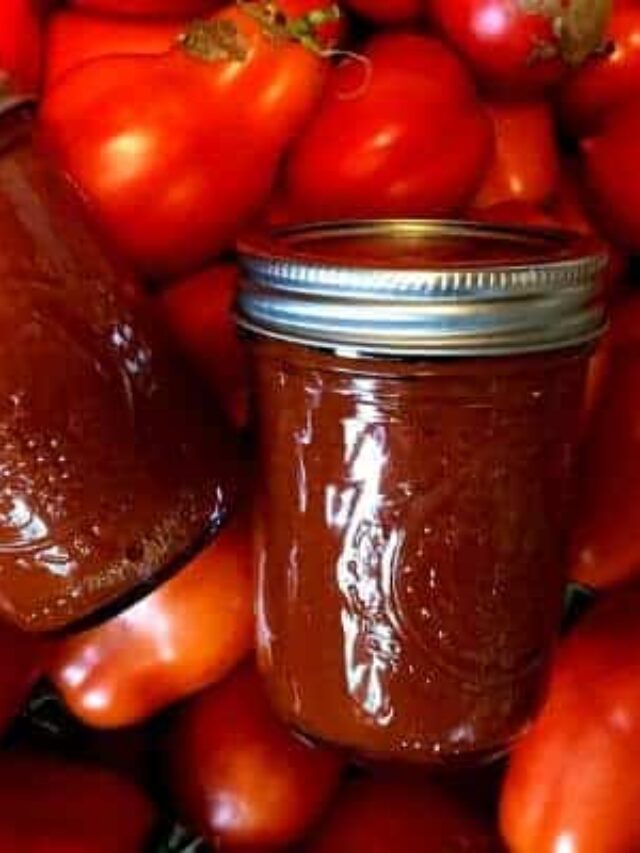 How to Make Homemade Ketchup Story The Free Range Life®