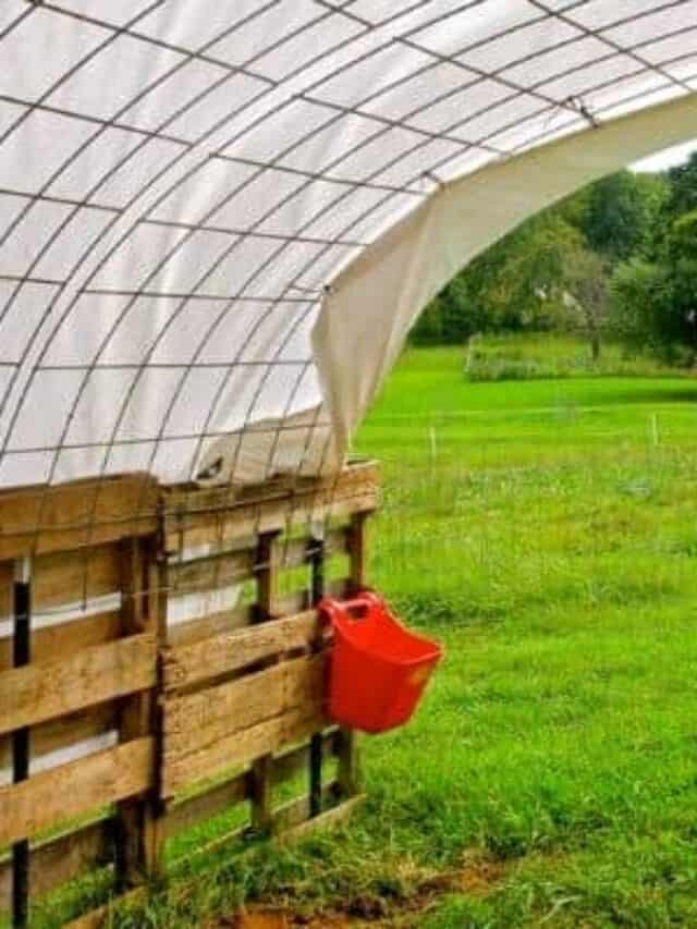 How to Make a Quick Pallet Shelter for Livestock Story