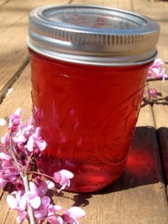 How to Make (and Can) Redbud Jelly at Home Story