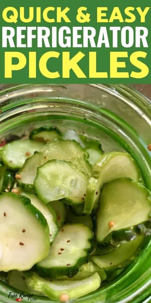 Quick and Easy Refrigerator Pickles!