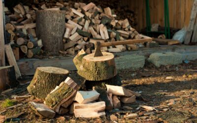 60 Ways to Become More Self-Sufficient This Year