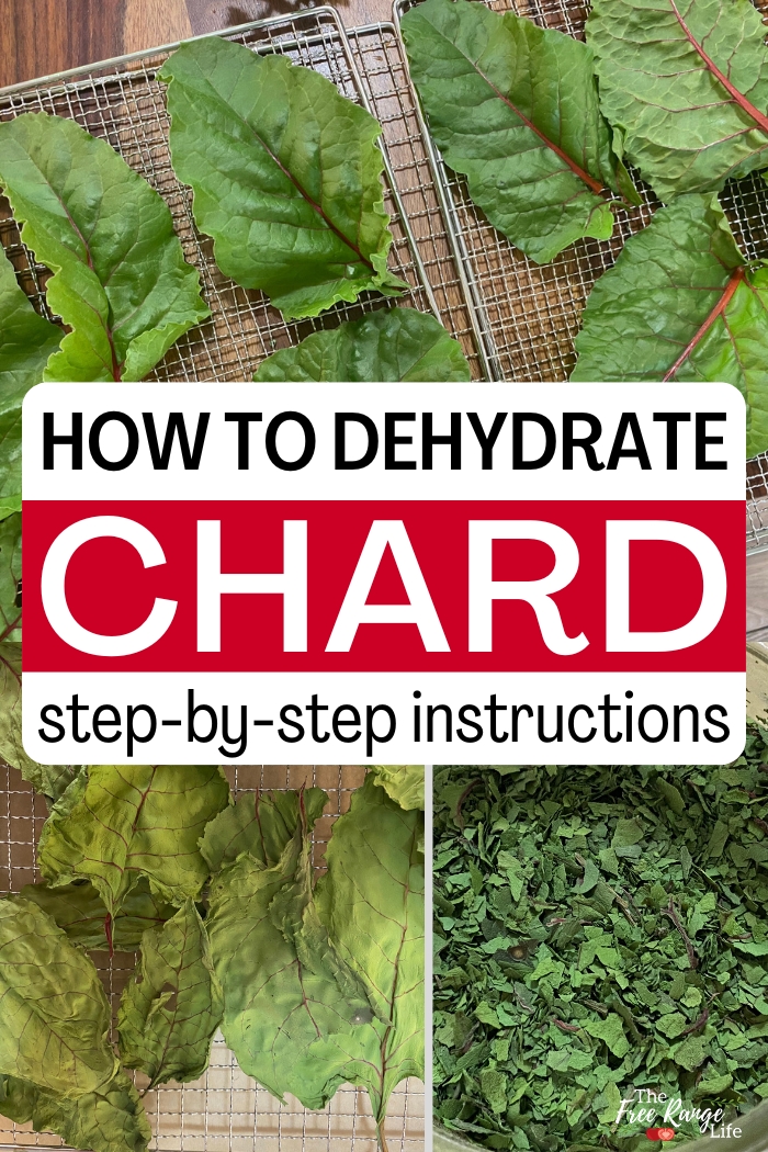 how to dehydrate chard step by step instructions