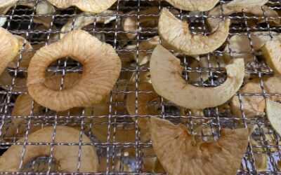 How to Dehydrate Apples for Longer Storage