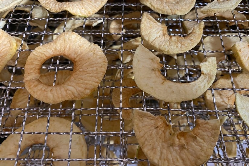 apple slices dehydrated on a tray 