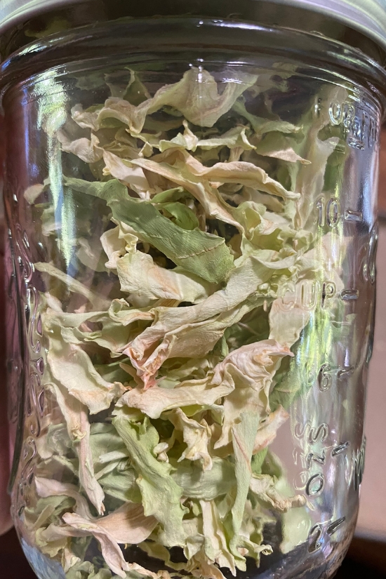 dehydrated cabbage in a jar