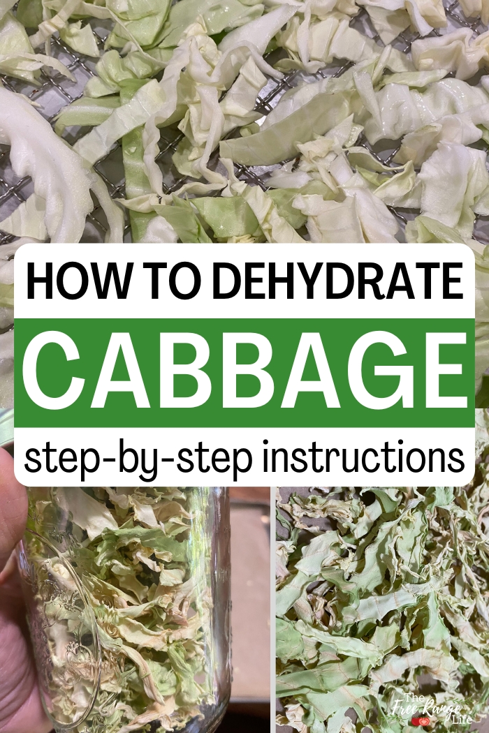 dehydrating cabbage step by step