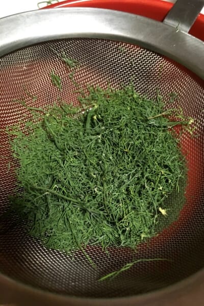 dried dill crushed over a strainer