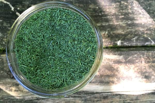 small mason jar filled with dried dill