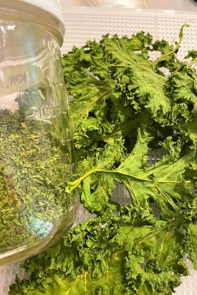 dried kale and crushed kale powder in a jar