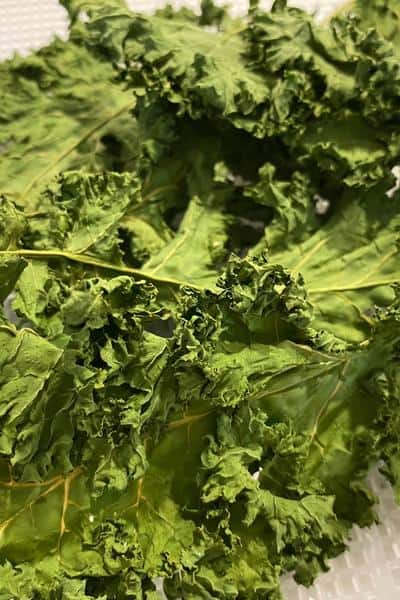 close up of dried kale leaves