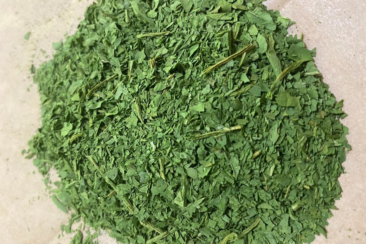 pile of powdered dry spinach 