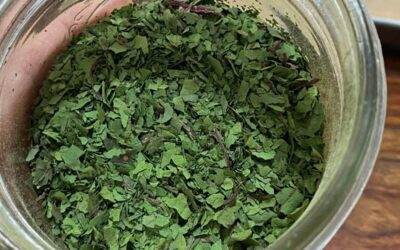 How to Dehydrate Swiss Chard