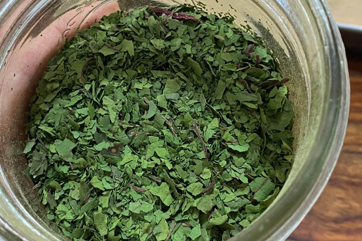 dried swiss chard crushed leaves in a jar