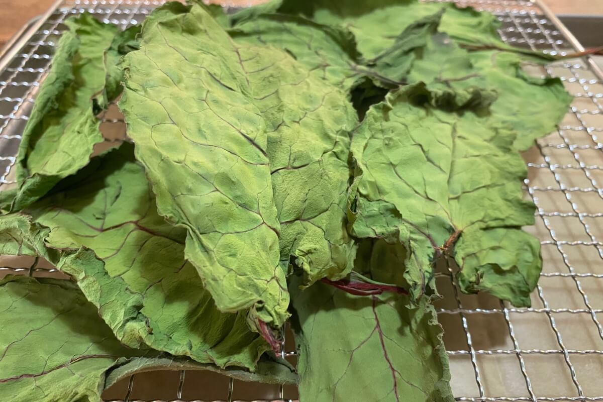 dried swiss chard leaves fresh from the dehydrator