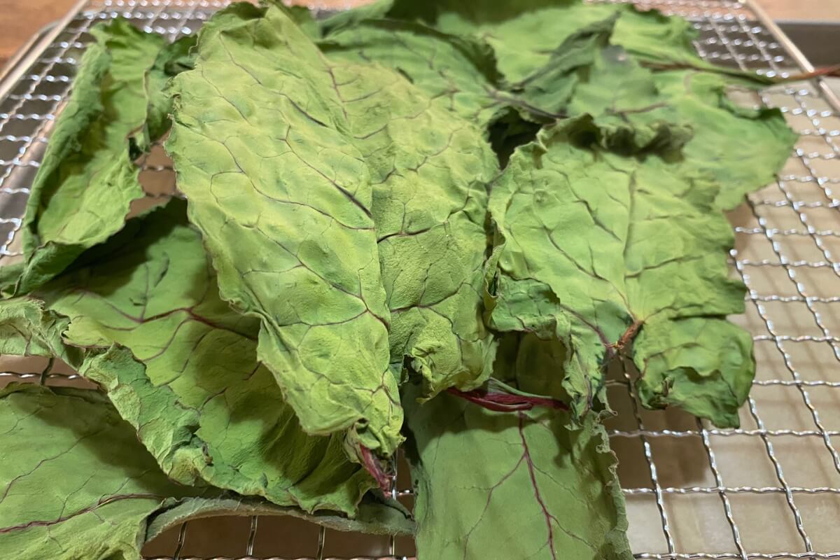 https://thefreerangelife.com/wp-content/uploads/dried-swiss-chard-leaves-1.jpg