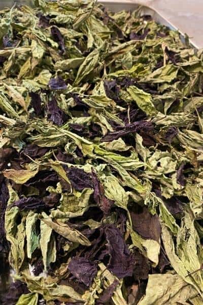 close up of a tray of fresh dried basil