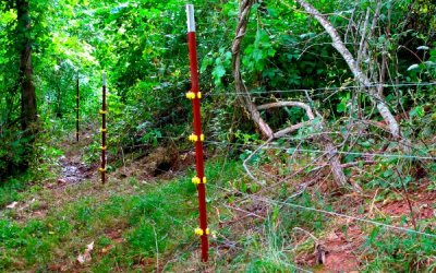 The Complete Guide to Electric Fence for Goats