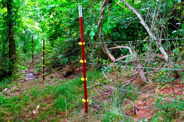 electric fence and red t-posts running along a property line