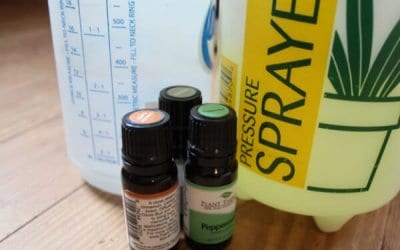 The Best Essential Oils for Gardening (+ Recipes)