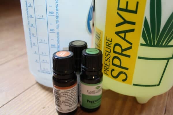 The Best Essential Oils for Gardening (+ Recipes)
