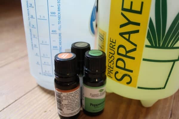 Why Essential Oils Make Terrible Bug Repellents