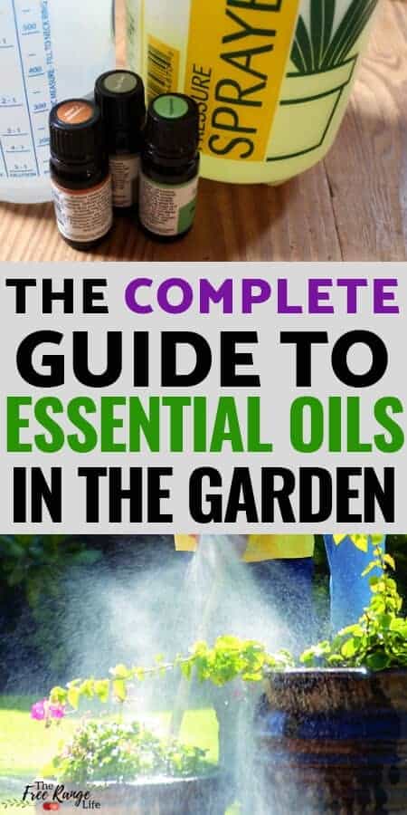 Organic Gardening: Did you know you can use essential oils to help your garden grow better? Learn how to use essential oils for gardening plus recipes to get you started!