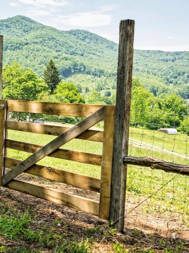 Guide to Fencing on the Farm The Free Range Life®