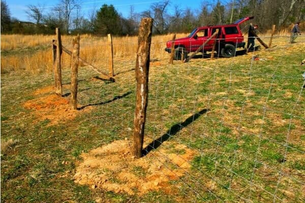 woven wire field fence