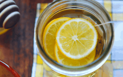 11 Flavored Kombucha Recipes Your Body will Thank You For!