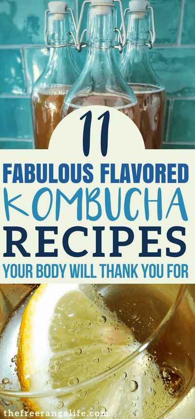Kombucha Flavors! Make kombucha at home with one of these fabulous flavored kombucha recipes! Natural Health | Real Food | Kombucha Flavors