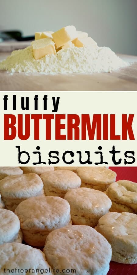 homemade fluffy buttermilk biscuits