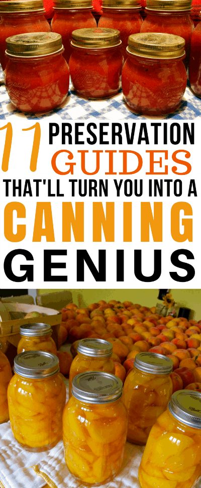 Are you wondering what to do with your garden harvest? Check out these 11 Food Preservation Guides- and you'll be a canning genius in no time!