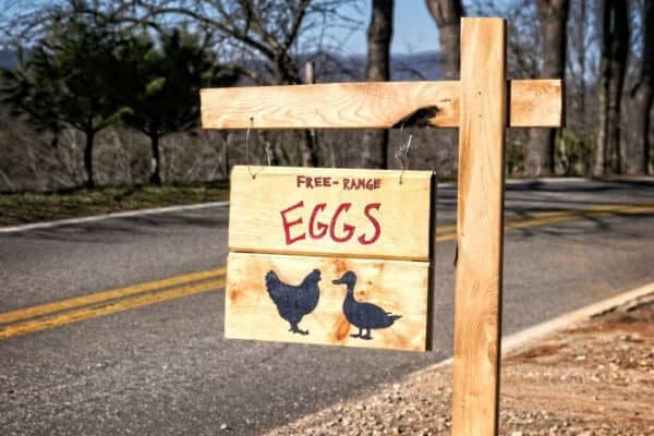 free range eggs for sale sign